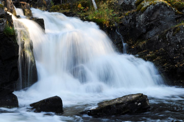 Obraz premium waterfall in the forest