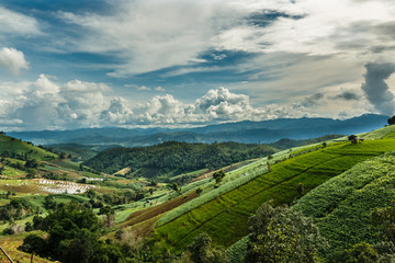 Fototapeta na wymiar Landscape ,Pa Pong Piang rice terraces at District Mae chaem of Chiang Mai Province Country of Thailand .