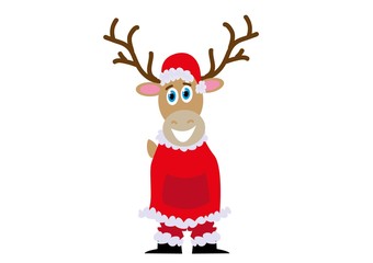 Renifer © monikakosz