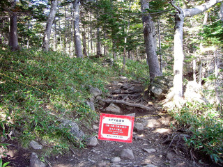 秋の知床五湖　ヒグマ出没中・立ち入り禁止（北海道）