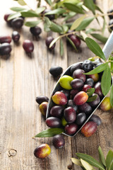 Fresh olives in scoop.