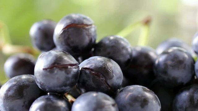 Close up of grapes