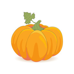 Kürbis - Clipart (Weiß)