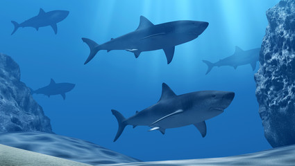 Fototapeta na wymiar Flock of sharks underwater with sun rays and stones in deep blue sea