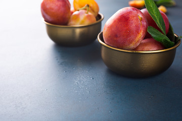 Fresh plums in bronze bowl on blue stone background. Selective focus. Healthy food concept. Copy space.