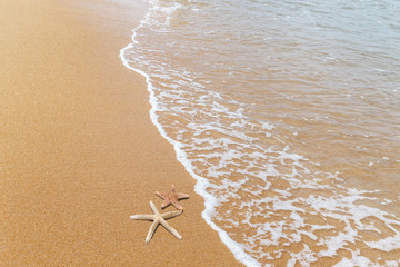 starfishs and shells on tropical beach