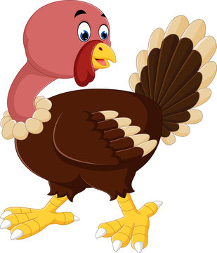 turkey bird cartoon