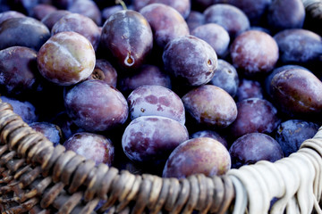 Ripe organic plums (Blackthorns)   