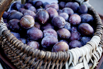 Ripe organic plums (Blackthorns)   