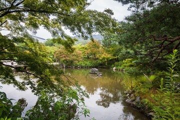 Fototapeta na wymiar Holiday in Japan - Summer Autumn Transit in Yasaka Shrine Garden, Kyoto