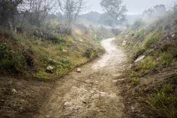 Fototapeta na wymiar a pedestrian rural path at dawn in the countryside on a foggy day 