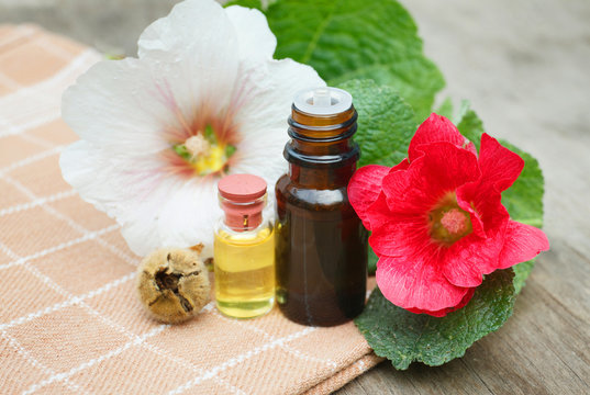 mallow essential oil container