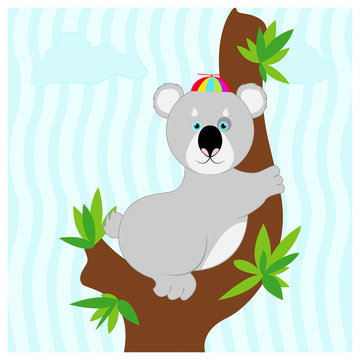 Funny cartoon koala in child colored hat sits on a tree.