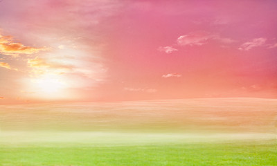 Obraz na płótnie Canvas Beautiful meadow landscape with pink sky