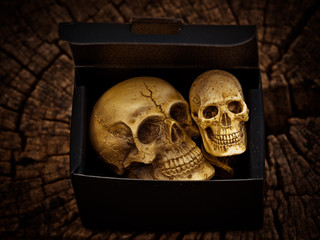 Box of skull