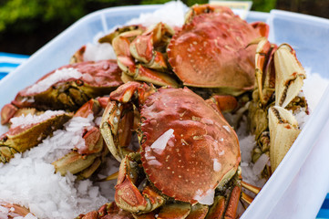 Fresh Dungeness crab at the market