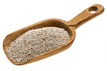 rustic scoop of white chia seeds