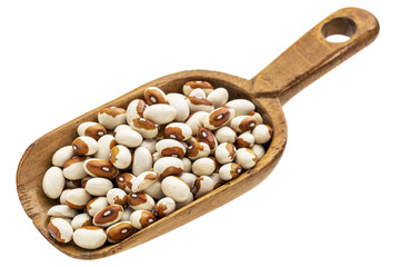 rustic scoop of yellow eye bean