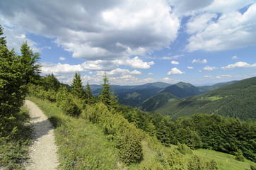 Mala Fatra mountain, Slovakia, Europe - Tourist path in National park Mala Fatra