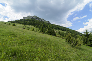 Mala Fatra mountain, Slovakia, Europe - View from meadow on Velky Rozsutec