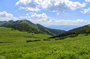 Fototapeta na wymiar Mala Fatra mountain, Slovakia, Europe - View with green field in National park Mala Fatra