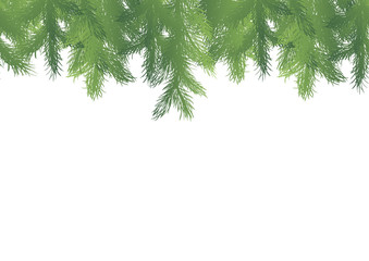 Seamless pattern border with green fir brunches on a white background