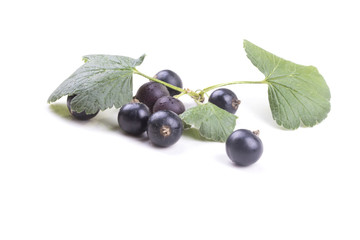 scattered ripe black currants with leaves