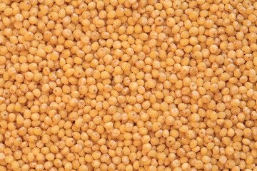 millet groats photo, dry millet, raw millet, millet background, macro millet, yellow millet, health food