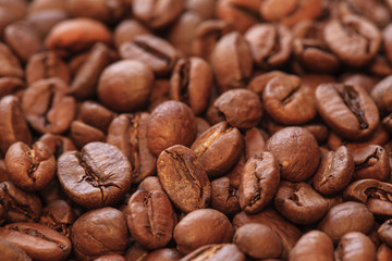 coffee beans photo, coffee beans, coffee background, coffee pattern, coffee grains, coffee sale, roasted coffee, brown coffee, coffee wallpaper, coffee macro