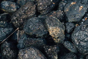 coal
