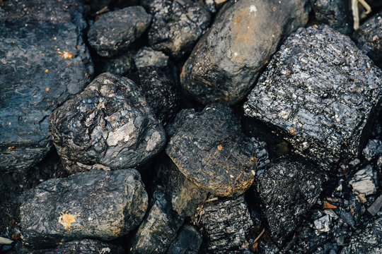 coal
