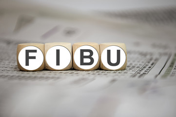 Schild mit Fibu Finanzbuchhaltung Steuererklärung legale Steuertricks