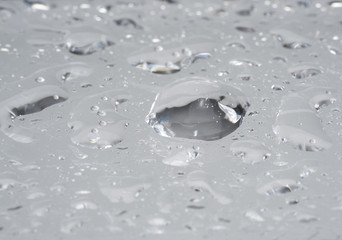 dew drops closeup