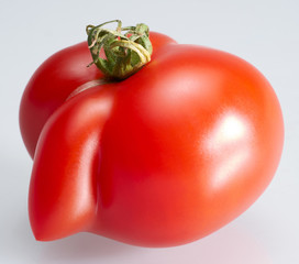 strange shaped tomato