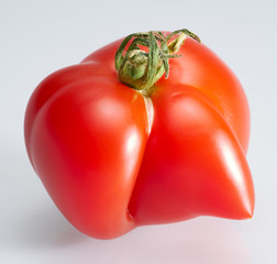 strange shaped tomato