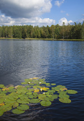 finnish summer lake