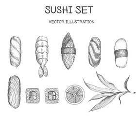 Sushi vector set. Sushi with tuna and shrimp sushi. Sushi with salmon, red fish. Sushi linear graphic.