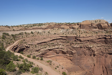 Cayonlands National Park - Shafer Trail