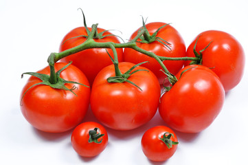 Red tomatoes with cut isolated on white