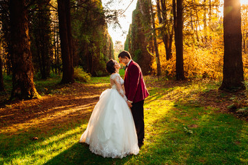 Evening sun shines through the trees in forest where newlyweds s