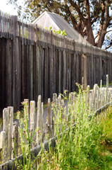 Fototapeta premium Fort Ross State Historic Park