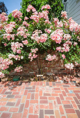 Luther Burbank Home and Gardens