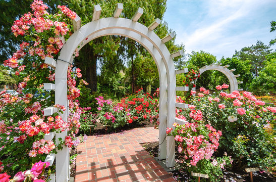 Luther Burbank Home And Gardens