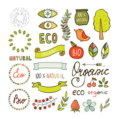 Modern hand drawn elements design organic