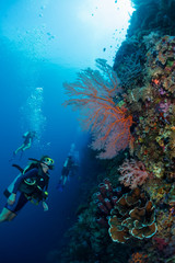 Divers