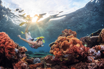 Reef