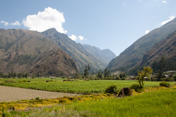 Fototapeta na wymiar Corn Plantations - Urubamba Valley - Peru