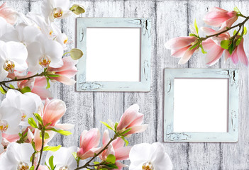 Magnolia flowers with orchidea and photo frames