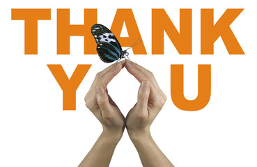 A gentle thank you - female hands making the O of You in THANK YOU,  in orange on a white...