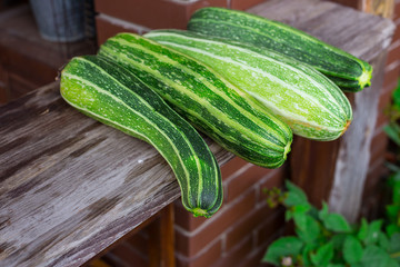 Four green homegrown  zucchini